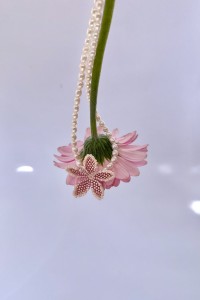 IMG_7483.jpeg